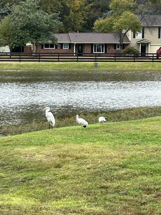 Cunningham Cove RV Park 4