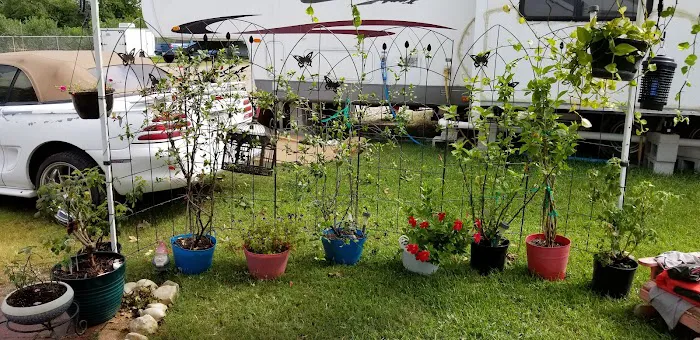 Hunter's RV Park: Office 3