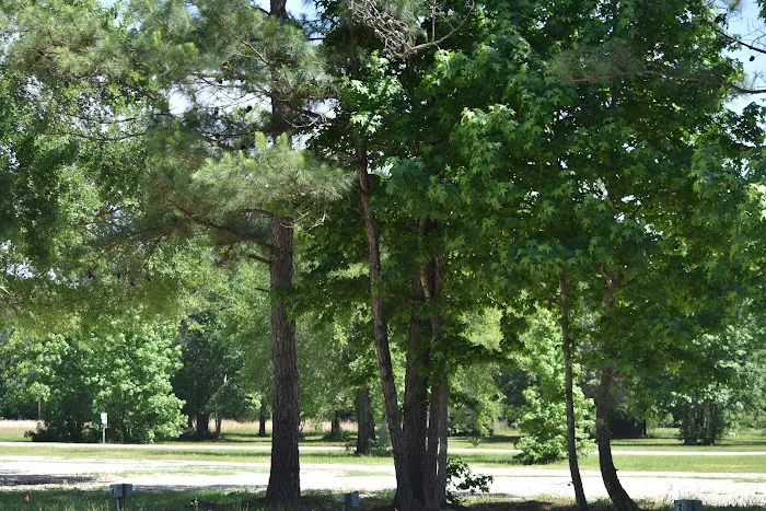Peaceful Pines RV Park 3