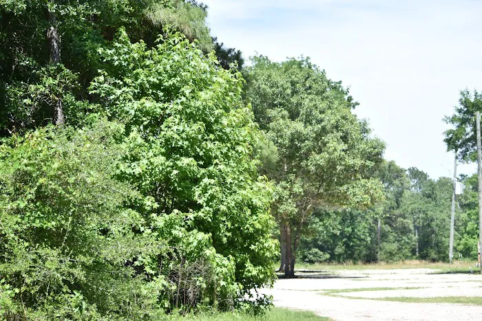 Peaceful Pines RV Park 6