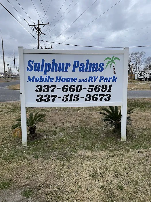 Sulphur Palms 8