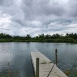 Diamond M RV Park