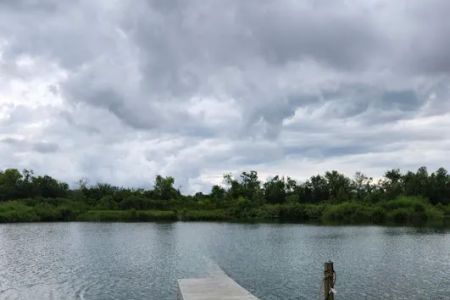 Diamond M RV Park