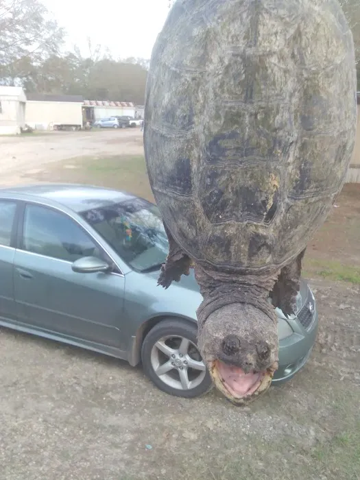 Denham Springs Mobile Home Park 6