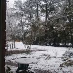 Seven Oaks RV Park