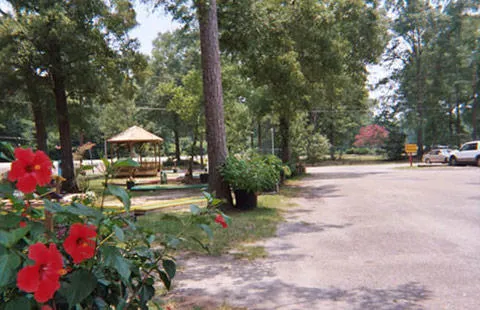 Baton Rouge KOA Holiday 8