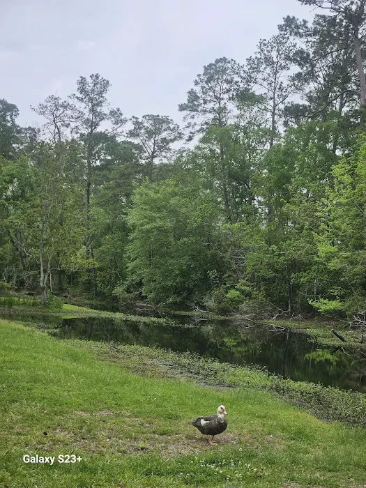 Indian Creek Campground 7