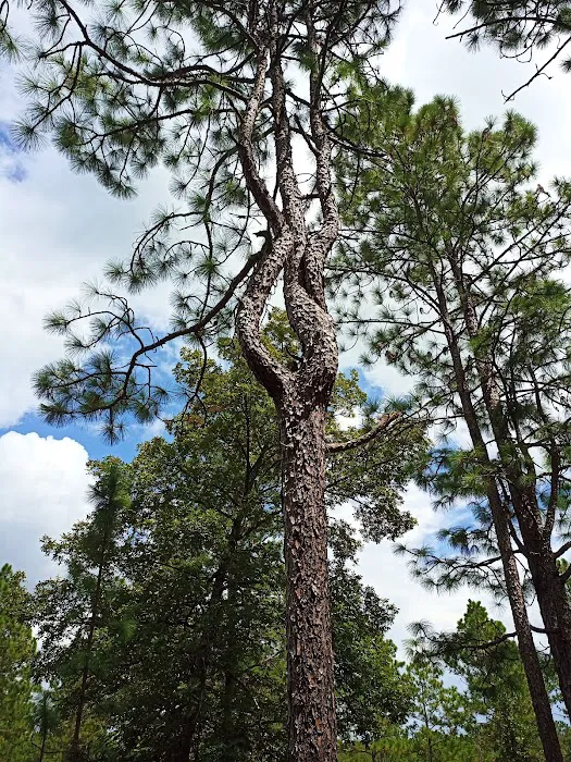 sandy hollow campground 1