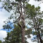 sandy hollow campground