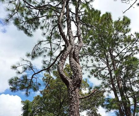 sandy hollow campground
