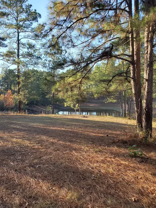 sandy hollow campground 2