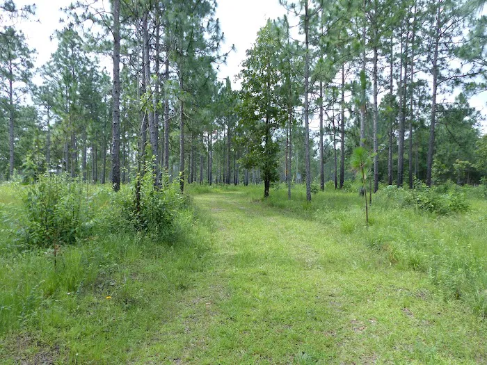 sandy hollow campground 7