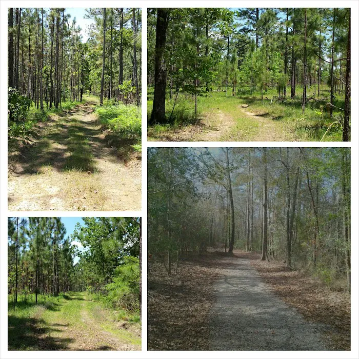 sandy hollow campground 8