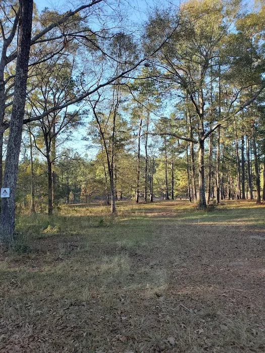 sandy hollow campground 10