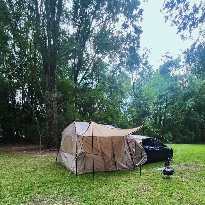 Camping on the Bayou 2