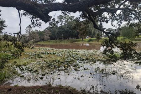 Camping on the Bayou