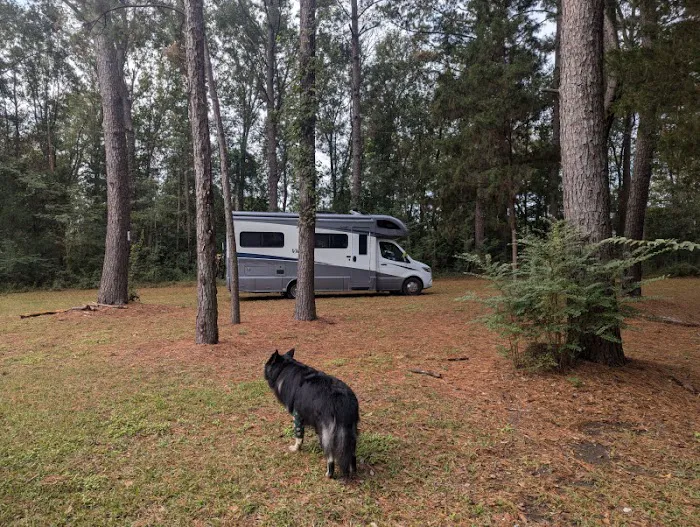 Camping on the Bayou 3