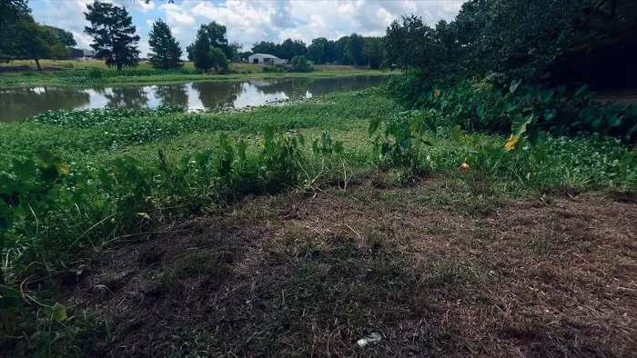 Camping on the Bayou 4