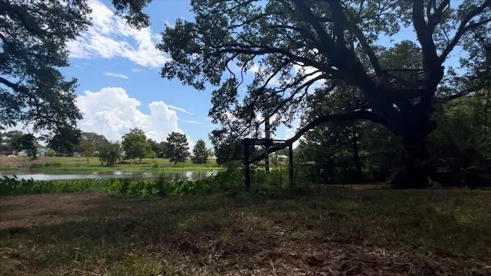 Camping on the Bayou 8