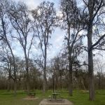 Campsite #39