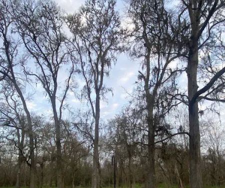 Campsite #39