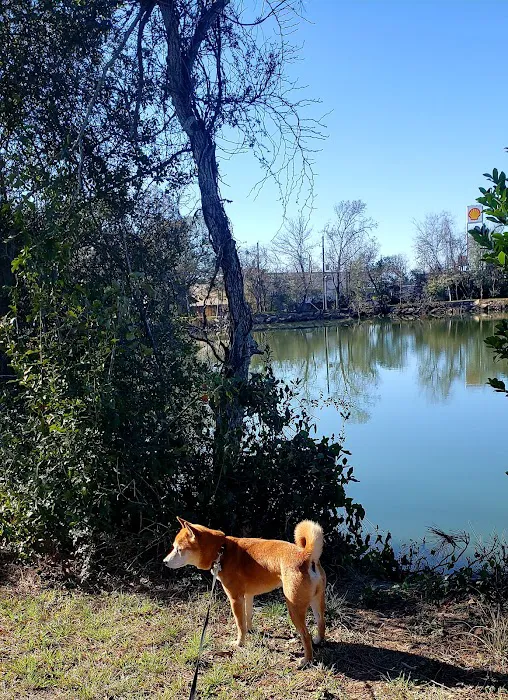 Sealy RV Park 5