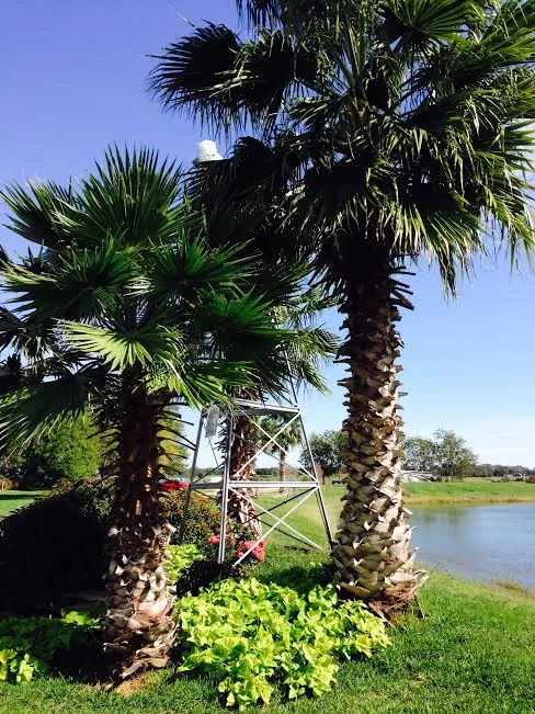 Dillard's R.V. Park 3
