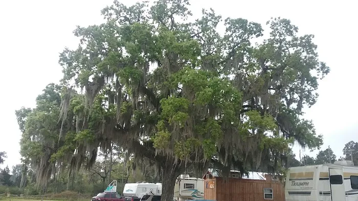 Magnolia’s Pond RV Park 4
