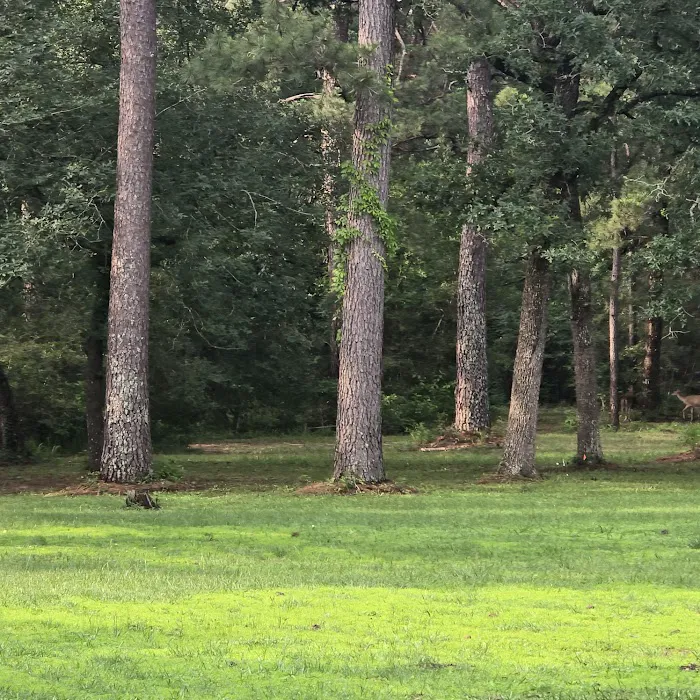 Pinewood Trails RV Park 2
