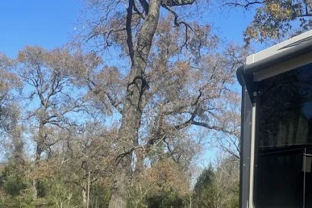 Sentinel Oaks RV Park, LLC