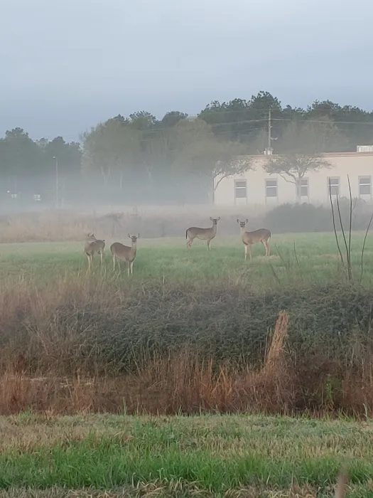 Corral RV Park 9