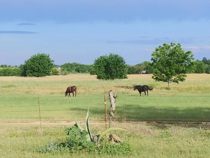 Briar Flats RV Resort and Stables 5