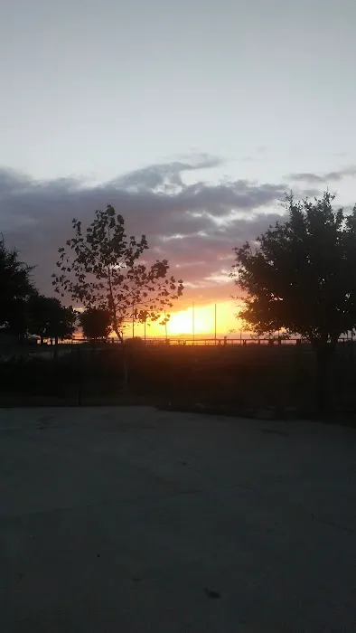 Bluebonnet Estates 7