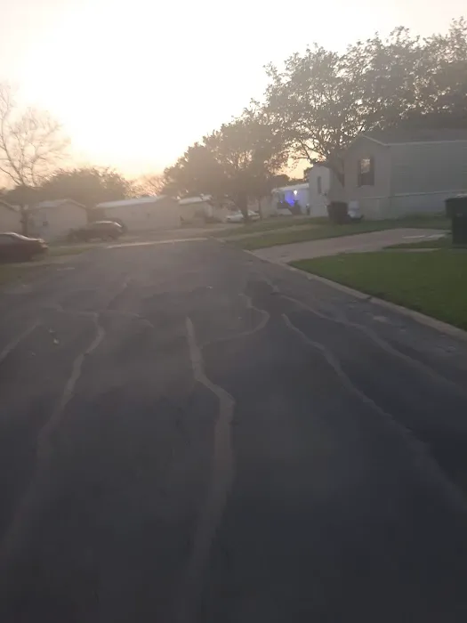 Bluebonnet Estates 8