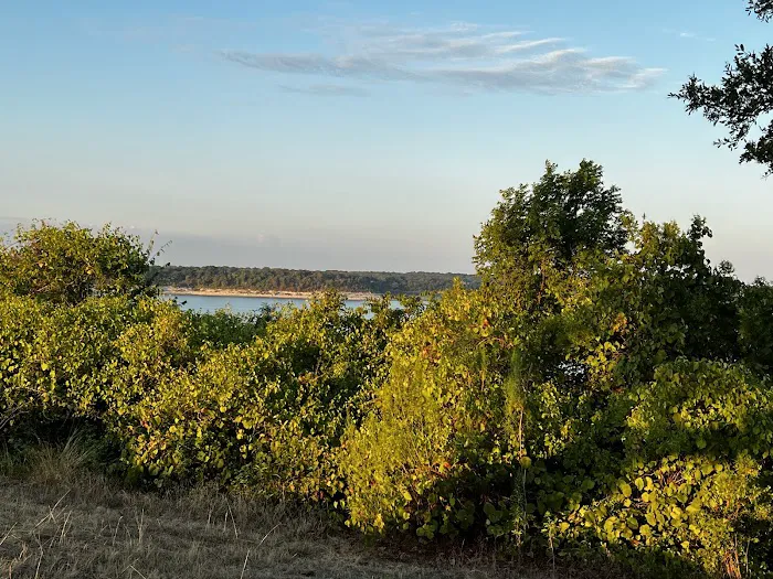 Live Oak Ridge Park Campground 9
