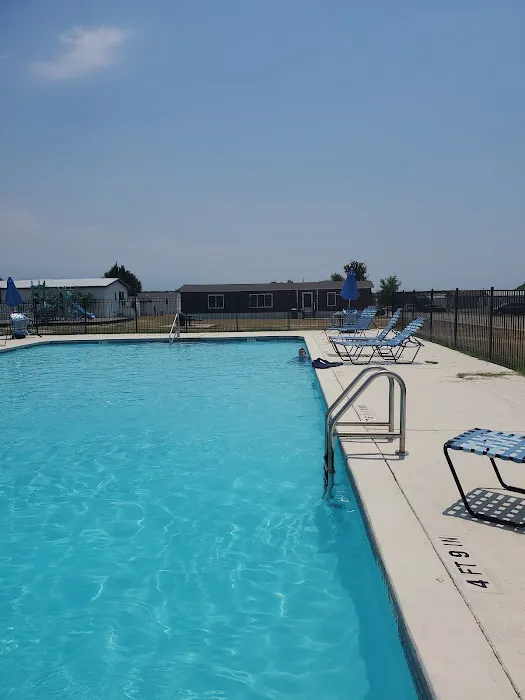 Summerfield 1