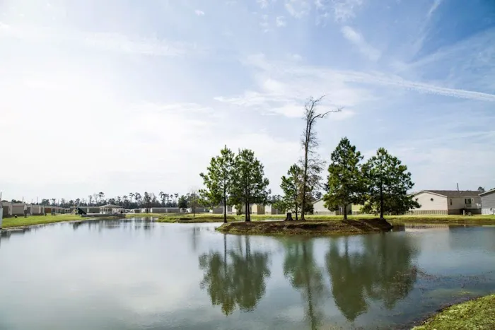 MOSSWOOD ESTATES 2