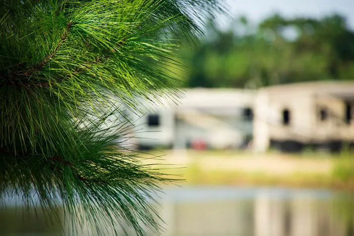 Osprey Lakes RV Park 5