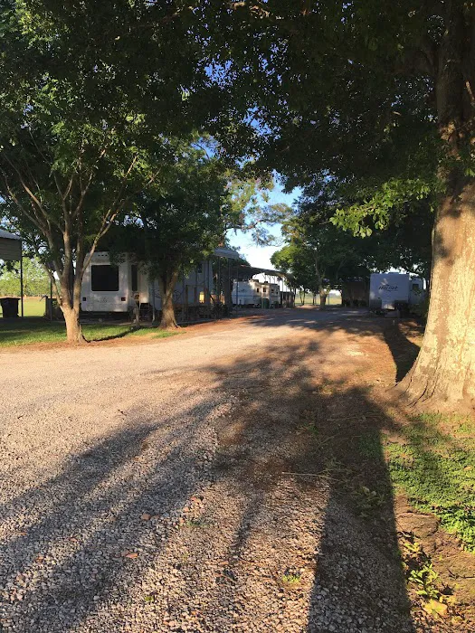 Tall Pines RV Park, Maurice, Louisiana 5