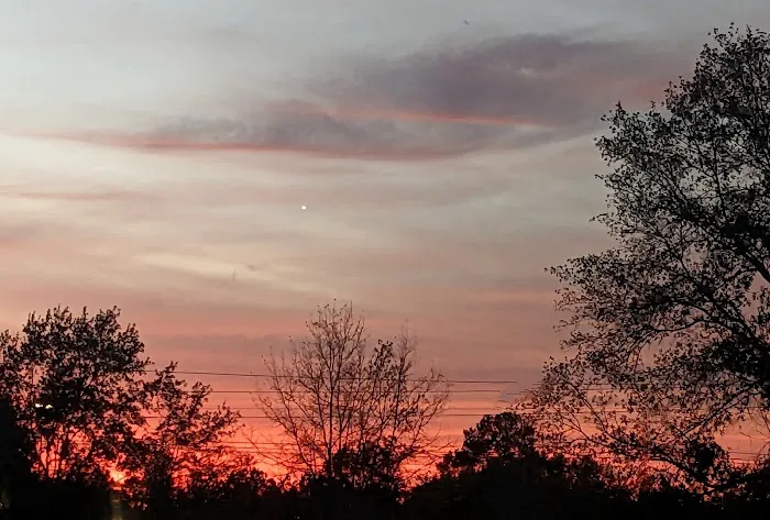East Martin RV Park 9