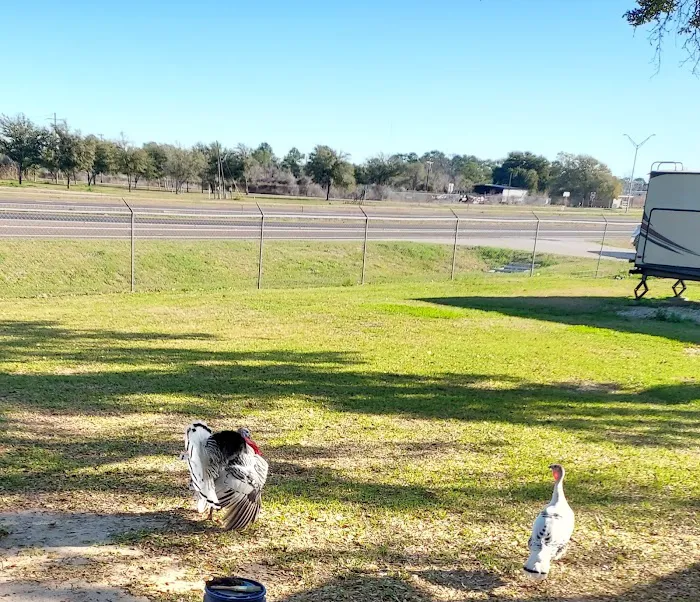CountyLine RV Park 4