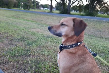 Meadow RV Park