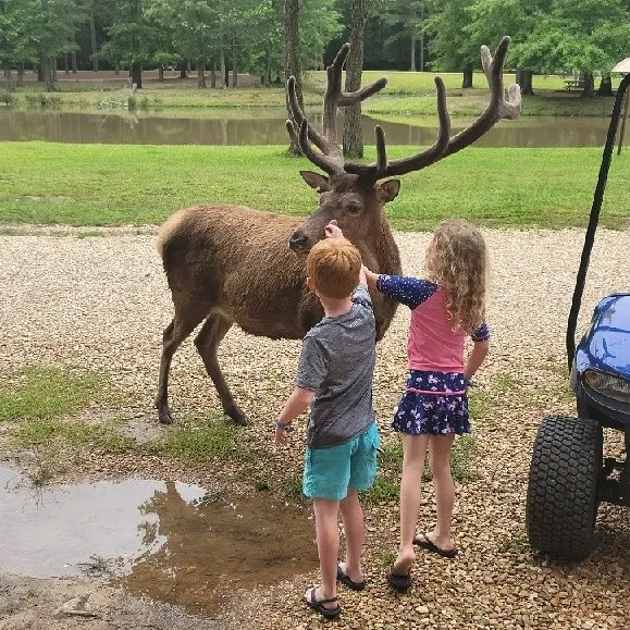 Magnolia RV Park and Family Campground 1