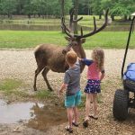 Magnolia RV Park and Family Campground