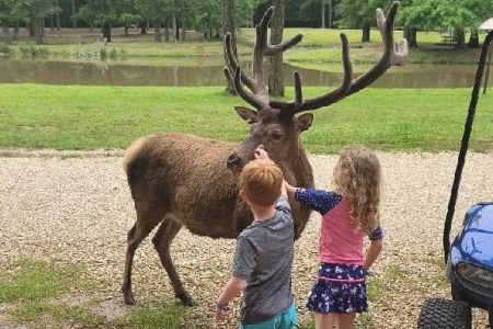 Magnolia RV Park and Family Campground