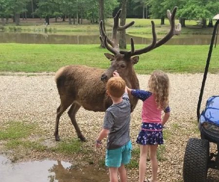 Magnolia RV Park and Family Campground
