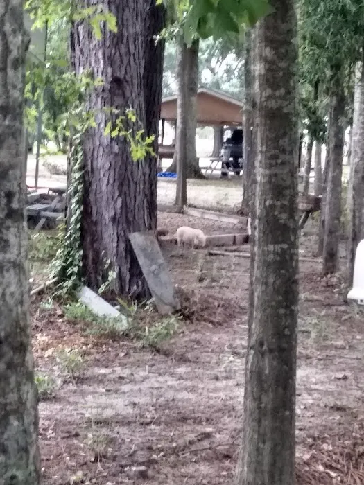 Magnolia RV Park and Family Campground 8
