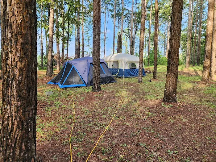 Missihippie Camping and Berries 2