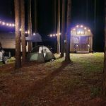 Missihippie Camping and Berries