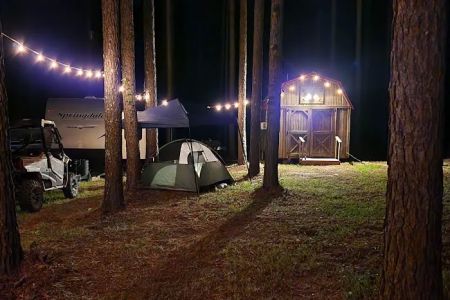 Missihippie Camping and Berries